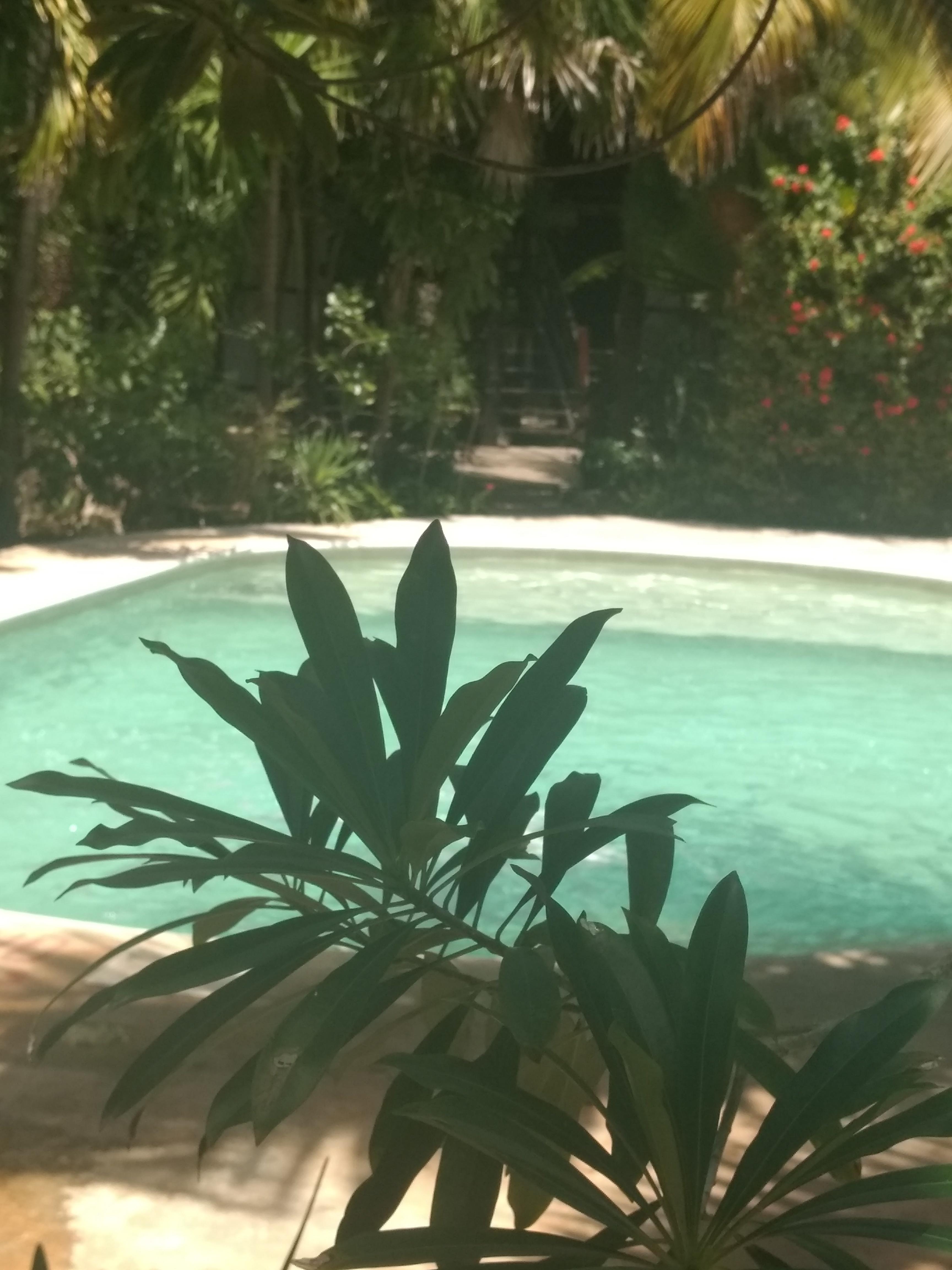 Green Tulum Cabanas & Gardens Exterior foto